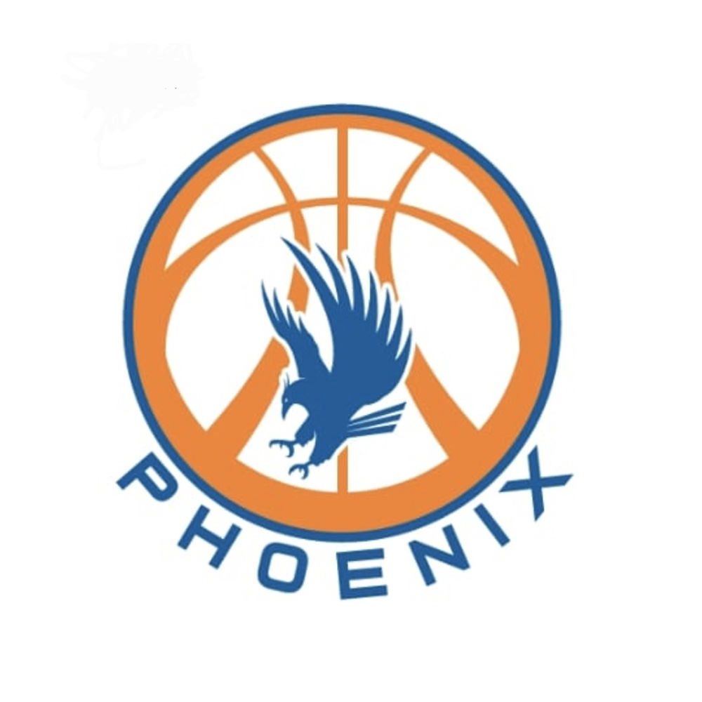 https://www.spbl.com.sg/wp-content/uploads/2024/09/team-phoenix-1.jpg