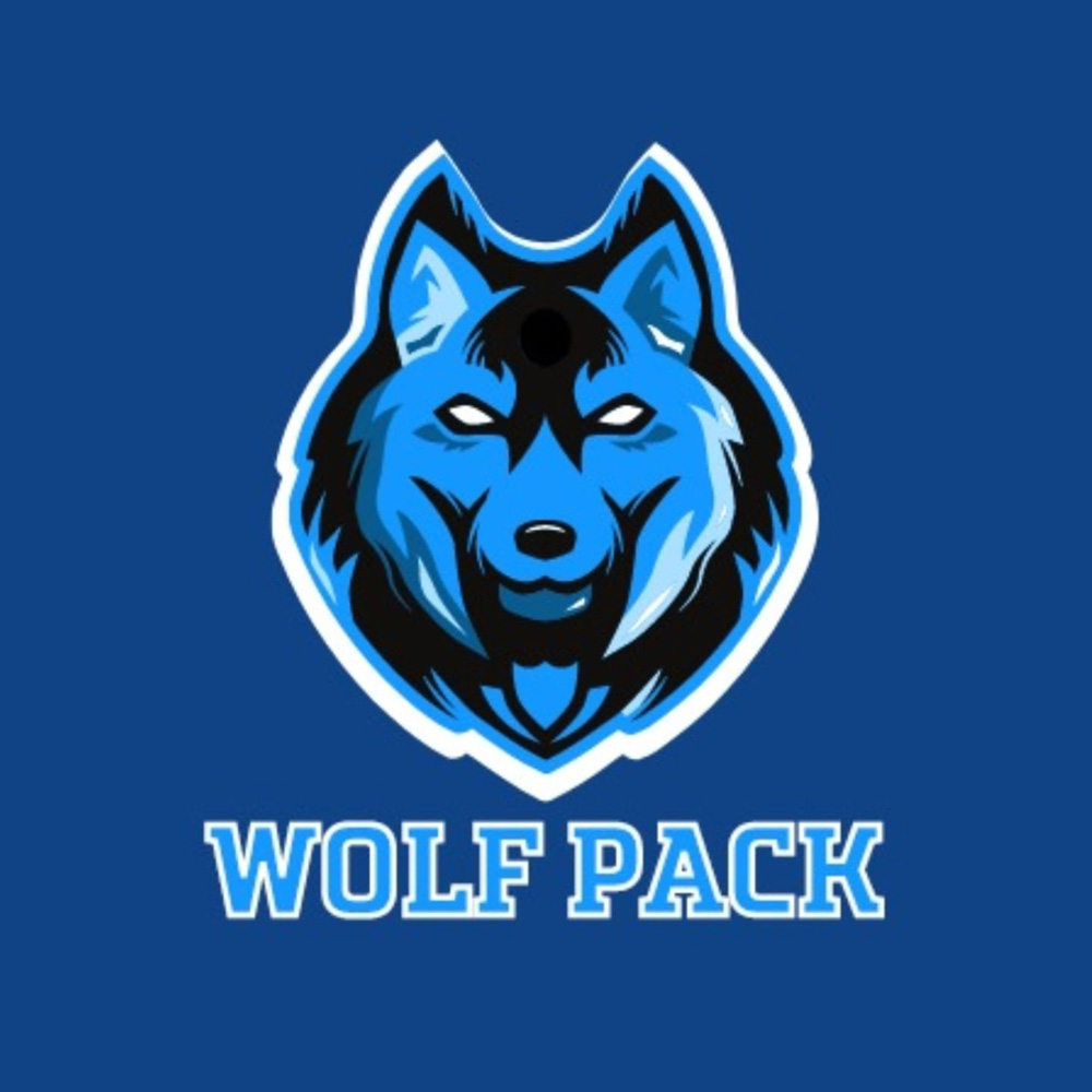 https://www.spbl.com.sg/wp-content/uploads/2024/09/team-wolfpack.jpg